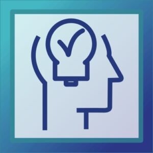 Desarrollo de plan de negocios con CANVA producto